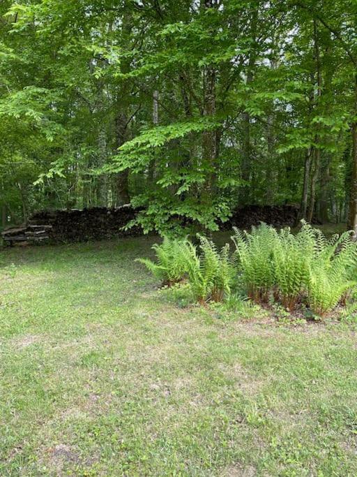 Gite Les Reculons Au Pied Du Lac Les Midoux Exterior foto